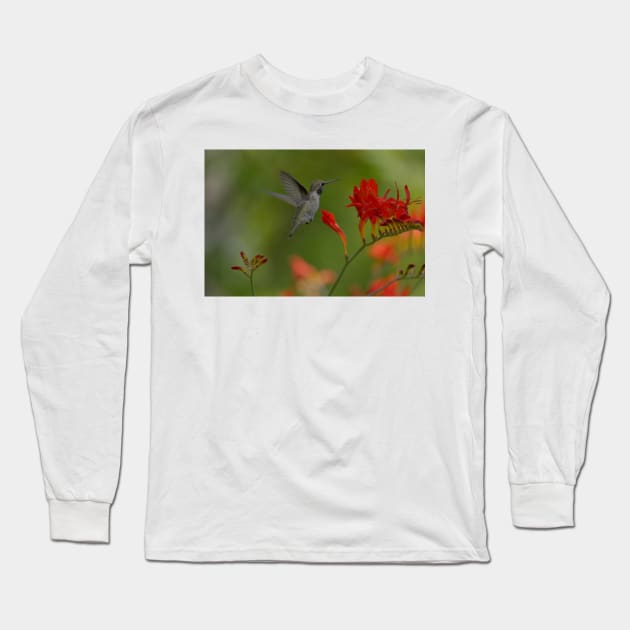 850_5884 Long Sleeve T-Shirt by wgcosby